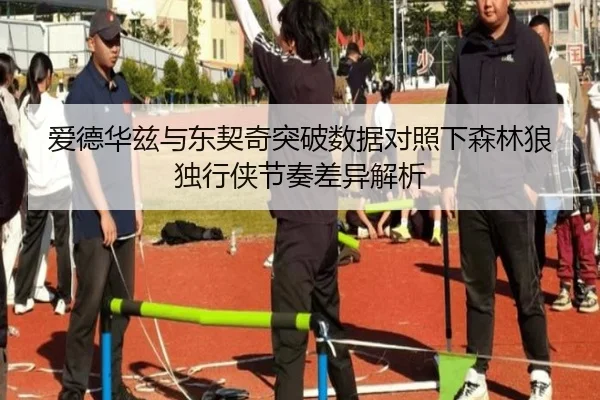 爱德华兹与东契奇突破数据对照下森林狼独行侠节奏差异解析